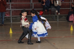 Campeonato-de-Cueca-Alumnos-2018-49