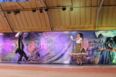 Fiestas-Patrias-2017-202