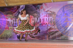 Fiestas-Patrias-2017-205