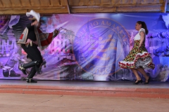 Fiestas-Patrias-2017-207