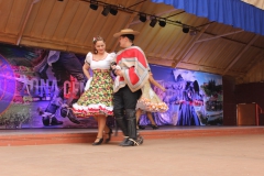 Fiestas-Patrias-2017-213