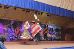 Fiestas-Patrias-2017-216