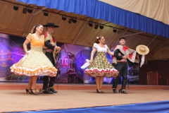 Fiestas-Patrias-2017-222