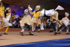 Fiestas-Patrias-2017-232