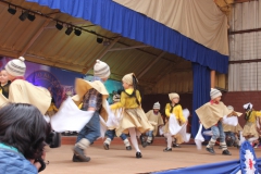 Fiestas-Patrias-2017-235