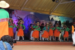 Fiestas-Patrias-2017-24