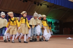 Fiestas-Patrias-2017-242