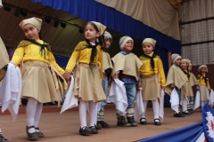 Fiestas-Patrias-2017-244