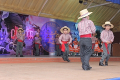Fiestas-Patrias-2017-253