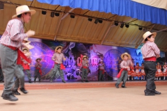 Fiestas-Patrias-2017-255