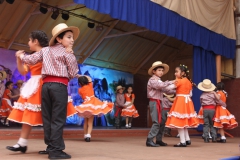 Fiestas-Patrias-2017-261