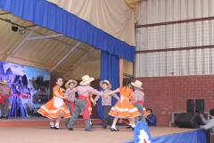Fiestas-Patrias-2017-264