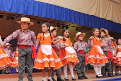 Fiestas-Patrias-2017-272