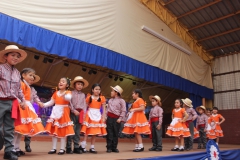 Fiestas-Patrias-2017-277