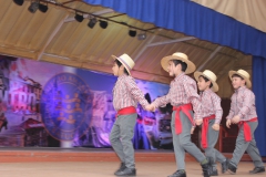 Fiestas-Patrias-2017-279
