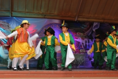 Fiestas-Patrias-2017-282