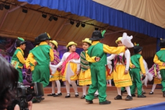 Fiestas-Patrias-2017-284