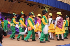 Fiestas-Patrias-2017-285
