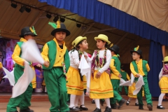 Fiestas-Patrias-2017-286