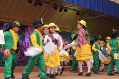 Fiestas-Patrias-2017-287