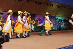Fiestas-Patrias-2017-294