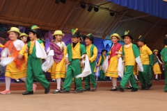 Fiestas-Patrias-2017-296