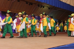 Fiestas-Patrias-2017-297