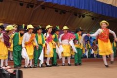 Fiestas-Patrias-2017-298