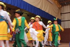 Fiestas-Patrias-2017-300