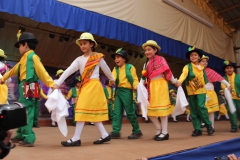 Fiestas-Patrias-2017-304