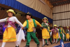Fiestas-Patrias-2017-308