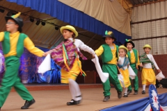 Fiestas-Patrias-2017-309