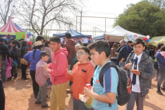 Fiestas-Patrias-2017-346