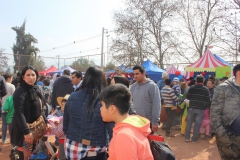 Fiestas-Patrias-2017-349